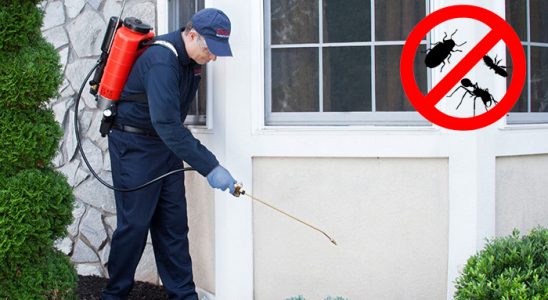 Sincan Gümüşkurt İlaçlama böcek ilaçlama ve haşere kontrolü — ilaclama-tr.com